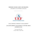 (Tiểu luận) final report of product managementanalyzing product management activities aboutsnowbites tofu