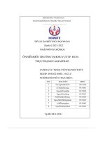 Ô nhiễm môi trường tại khu vực tp  hcm  thực trạng và giải pháp