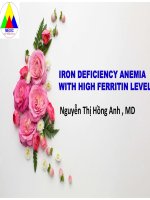 IRON DEFICIENCY ANEMIA WITH HIGH FERRITIN LEVEL Nguyễn Thị Hồng Anh , MD