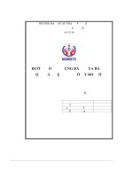 Đường lối xây dựng đảng của đảng cộng sản việt nam thời kỳ đổi mới