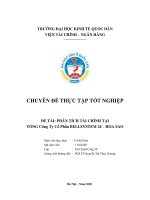 Chuyên đề thực tập tốt nghiệp: Phân tích tình hình tài chính của tổng Công Ty BELLSYSTEM 24 - HOA SAO