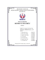 Tiểu luận môn học hành vi tổ chức