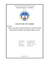 Chuyên đề tốt nghiệp: Nâng cao chất lượng tín dụng tại Ngân hàng TMCP Phương Đông chi nhánh Thăng Long