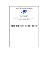 (Tiểu luận) tiểu luận chuyên ngành khoa học máy tính môn cơ sở tri thứcbiểu diễn cơ sở tri thức