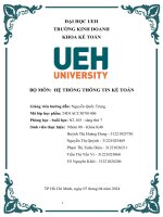 Hệ thống thông tin kế toán hệ thống thông tin kế toán (ais)