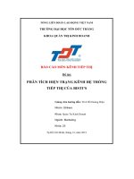 Báo cáo môn kênh tiếp thị đề tài phân tích hiện trạng kênh hệ thống tiếp thị của bisti’s