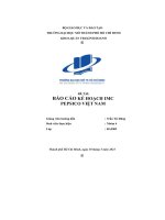 (Tiểu luận) đề tài báo cáo kế hoạch imc  pepsico việt nam