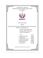 Tiểu luận cuối kỳ đề tài phân tích các hoạt động tiếp thị quốc tế của hãng xe điện vinfast tại thị trường mỹ