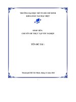 (Tiểu luận) ứng dụng tiếp thị truyền thông mạng xã hội (social media marketing) trong việc xây dựng và phát triển thương hiệu havias việt nam