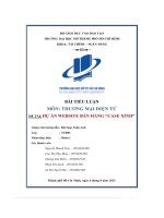 (Tiểu luận) tiểu luận môn thương mại điện tử đề tài dự án website bán hàng case xinh