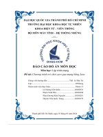 Báo cáo đồ án môn học đề tài chương trình trò chơi caro qua mạng bằng java