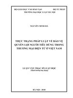 Luận văn thạc sĩ Luật học: Thực trạng pháp luật về bảo vệ quyền lợi người tiêu dùng trong thương mại điện tử ở Việt Nam