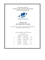 (Tiểu luận) khảo sát sự hài lòng của khách hàng đối với dịch vụgiao hàng tận nhà ở việt nam