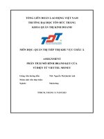 Môn học quản trị tiếp thị khu vực châu á assignment phân tích mô hình brand key của ví điện tử viettel money
