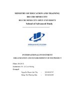 (Tiểu luận) international investmentorganization and establishment of fdi project