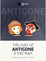 Tiểu luận về antigone ở việt nam