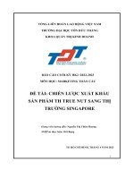 Chiến lược xuất khẩu sản phẩm th true nut sang thị trường singapore
