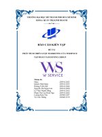 (Tiểu luận) đề tài phân tích chiến lược marketing của wservice tập đoàn nam hương group
