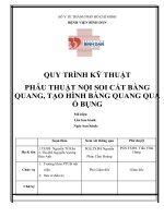 QUY TRÌNH KỸ THUẬT PHẪU THUẬT NỘI SOI CẮT BÀNG QUANG, TẠO HÌNH BÀNG QUANG QUA Ổ BỤNG