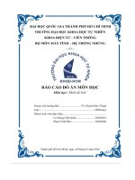 Báo cáo đồ án môn học  thiết kế soc