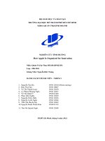 (Tiểu luận) nghiên cứu tình huống how apple is organized for innovation