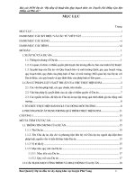 Báo cáo ĐTM Dự án “Hạ tầng kỹ thuật khu Quy hoạch thôn An Truyền (Xứ Đồng Cạn Bợt Miếu), xã Phú An”