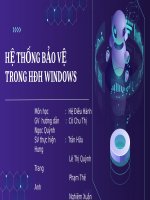 Slide hệ thống bảo vệ trong hđh windows