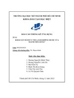 (Tiểu luận) báo cáo thống kê ứng dụng đề tài khảo sát hành vi mua sắm không do dự của người tiêu dùng