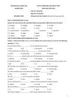 43  quảng ngãi 2023