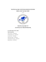 (Tiểu luận) báo cáo cuối kỳ thương mại điện tử