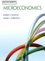 Tài liệu nước ngoài môn Kinh tế vi mô (bản Anh)  Robert pindyck daniel rubinfeld microeco