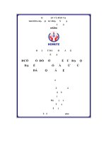 Đánh giá kết quả thực hiện đường lối đổi mới kinh tế của đại hội đại biểu toàn quốc lần thứ vi