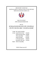 Đề tài kế hoạch kinh doanh nước sâm bí đao với tên thương hiệu “sâm bí đao bobi”