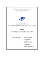 (Tiểu luận) bài báo cáo môn họchoạch định hệ thống nguồn lực doanh nghiệpđề tàigiới thiệu giải pháp erp misa amis