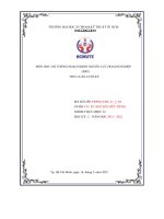 Môn học  hệ thống hoạch định nguồn lực doanh nghiệp (erp) tiểu luận cuối kỳ