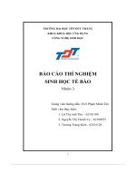 Báo cáo thí nghiệm sinh học tế bào