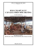 BÁO CÁO ĐỀ XUẤT CẤP GIẤY PHÉP MÔI TRƯỜNG CỦA DỰ ÁN ĐẦU TƯ CƠ SỞ SẢN XUẤT NỘI THẤT PHÚ THỊNH