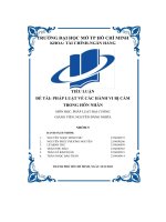 (Tiểu luận) tiểu luận đề tài pháp luật về các hành vi bị cấm trong hôn nhân