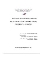 Thí nghiệm công nghệ protein và enzyme báo cáo thí nghiệm công nghệ protein và enzyme