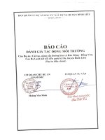 Báo cáo ĐTM dự án: Cải tạo, nâng cấp đường liên xã Húc Động  Đồng Văn, Cao Ba Lanh kết nối đến Quốc lộ 18C, huyện Bình Liêu (dự án điều chỉnh)