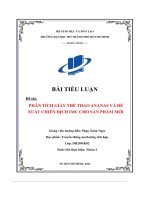 (Tiểu luận) tiểu luận đề tài phân tích giày thể thao ananas và đề xuất chiến dịch imc cho sản phẩm mới