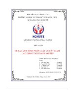 Đề tài quy định pháp luật về cắt giảm lao động tại doanh nghiệp