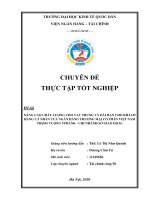 Chuyên đề thực tập tốt nghiệp: Nâng cao chất lượng cho vay trung và dài hạn cho khách hàng cá nhân của Ngân Hàng Thương Mại Cổ Phần Việt Nam Thịnh Vượng VPBANK - chi nhánh Sở Giao Dịch