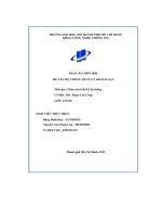 (Tiểu luận) báo cáo môn học đề tài hệ thống quản lý khách sạn