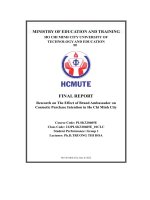 Final report research on the effect of brand ambassador on cosmetic purchase intention in ho chi minh city