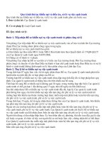 Quy trình tố tụng cạnh tranh   môn luật cạnh tranh