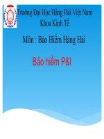 Tiểu Luận - Bảo Hiểm Hàng Hải - Đề Tài -Bảo Hiểm P&I