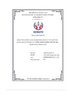 Tiểu luận cuối kỳ phân tích chiến lược marketing dịch vụ vận chuyển hành khách nội địa của hãng hàng không vietjet air và đề xuất chiến lược