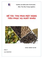 Đề tài thu mua mặt hàng tiêu phục vụ xuất khẩu bạn là nhân viên thu mua của công ty xuất nhập khẩu nông sản ( mặt hàng tiêu)  hãy thực hiện hoạt động thu mua tiêu phục vụ cho xuất khẩu