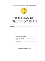 dề cương bìa môn lý luận chính trị